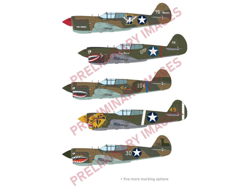 Eduard 1/48 PACIFIC STAR P-40E Warhawk DUAL COMBO