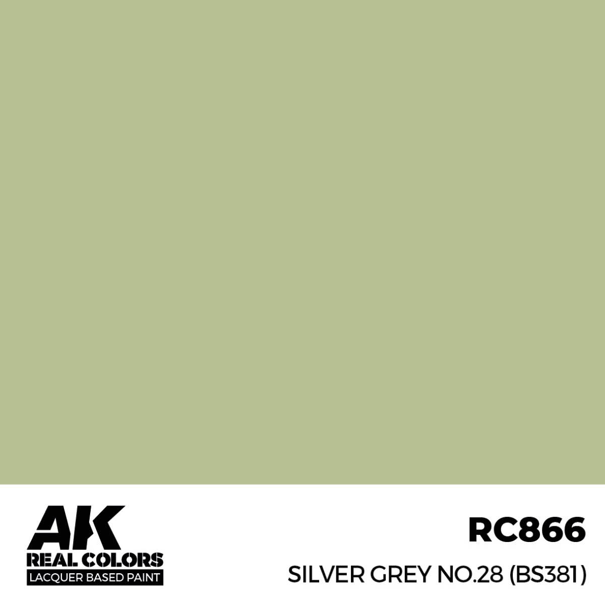 RC866 Silver Grey No.28 (BS381)