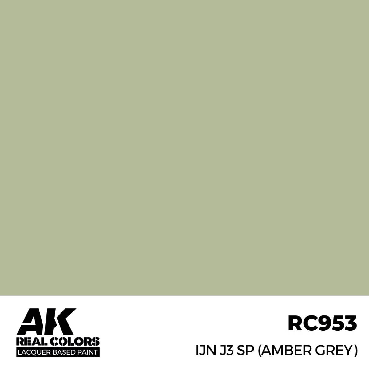 RC953 IJN J3 SP (Amber Grey)