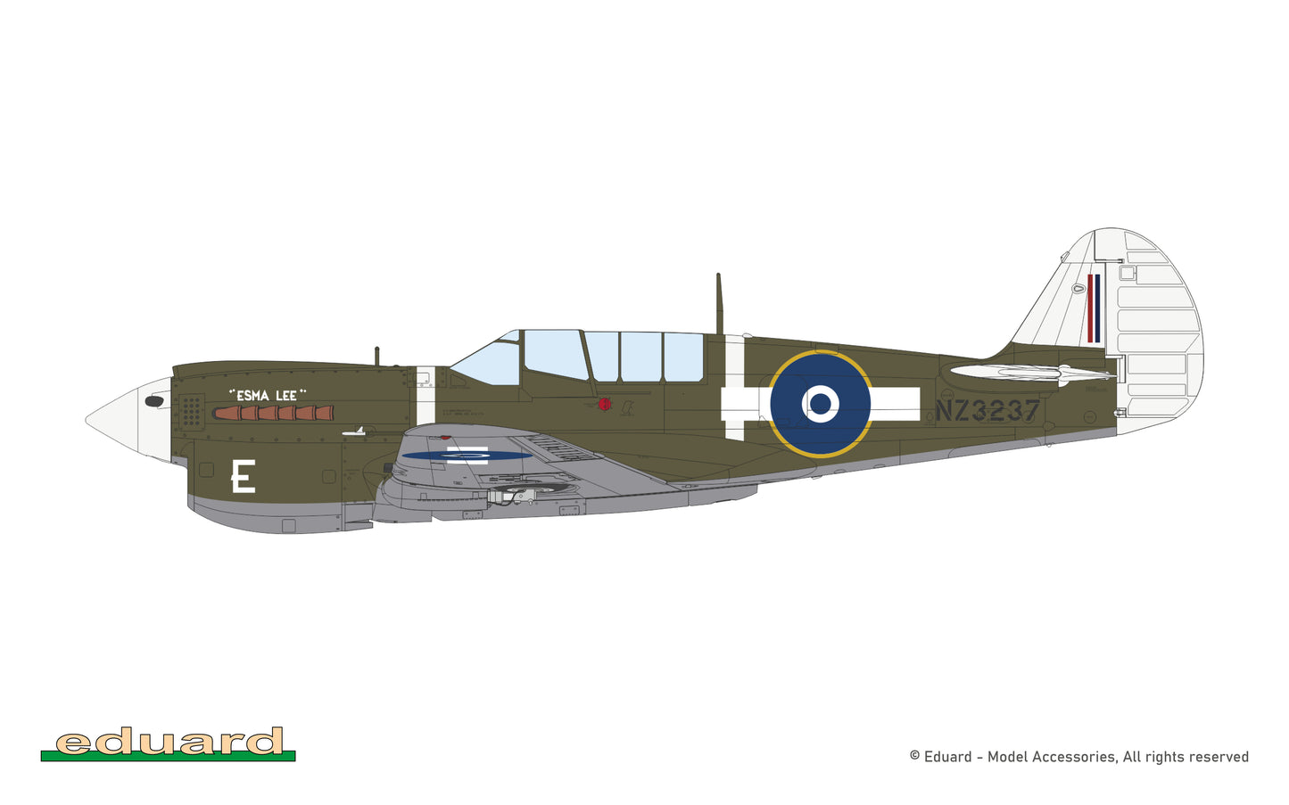 Eduard 1/48 Kittyhawk Dual Combo (Kittyhawk Mk.Ia (P-40E) and Kittyhawk Mk.IV (P-40N)