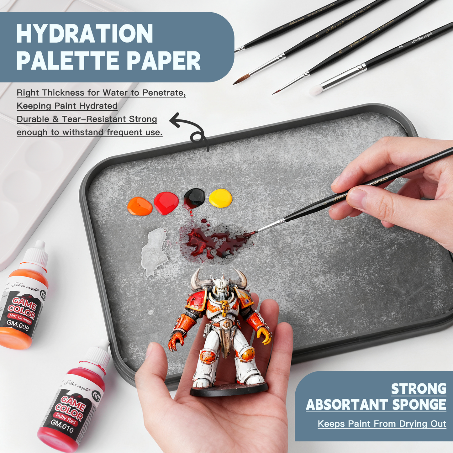 Golden Maple 2 in 1 Wet Palette Kit for Miniature Painting