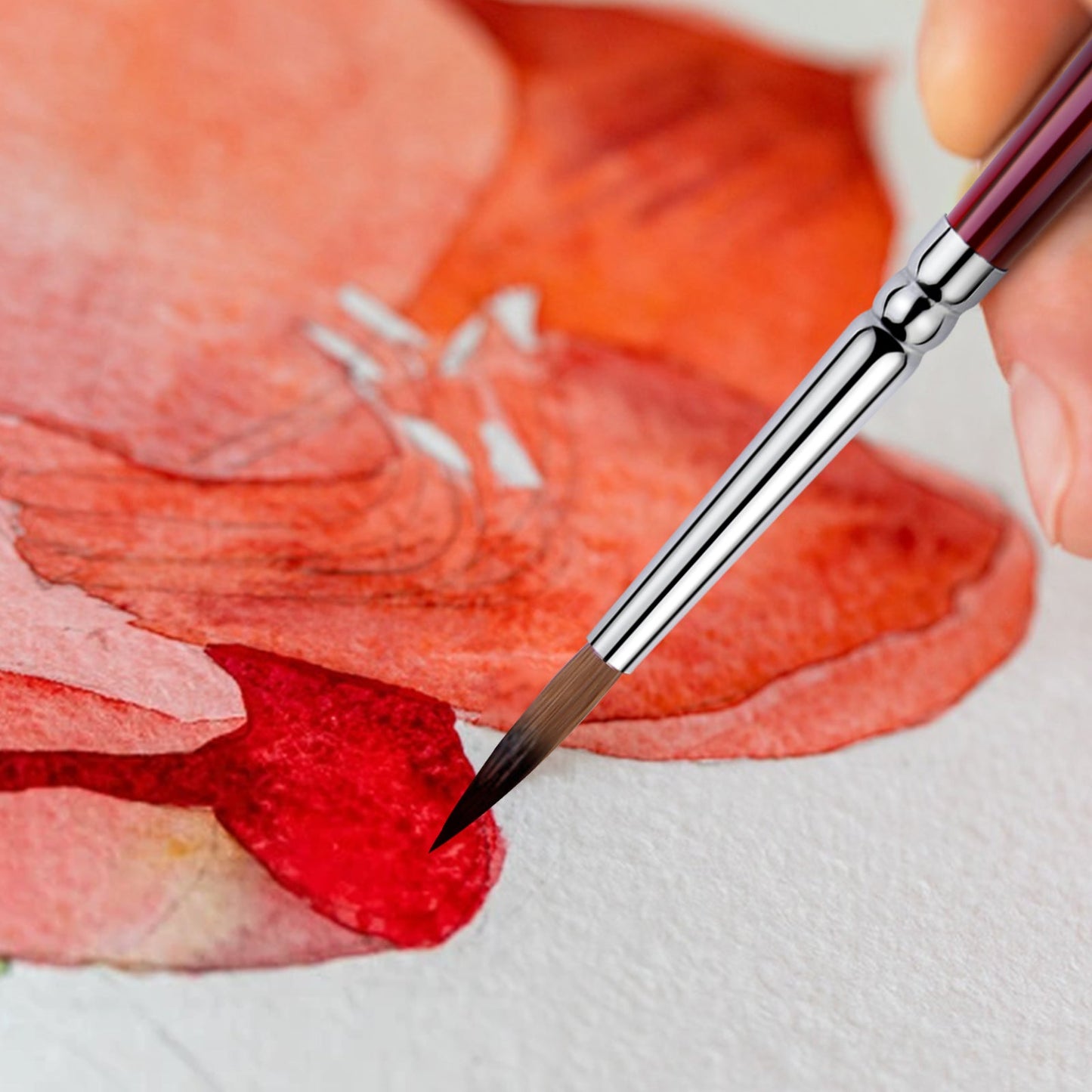 Golden Maple Master Ⅰ: Kolinsky Sable Miniature Detail Brushes