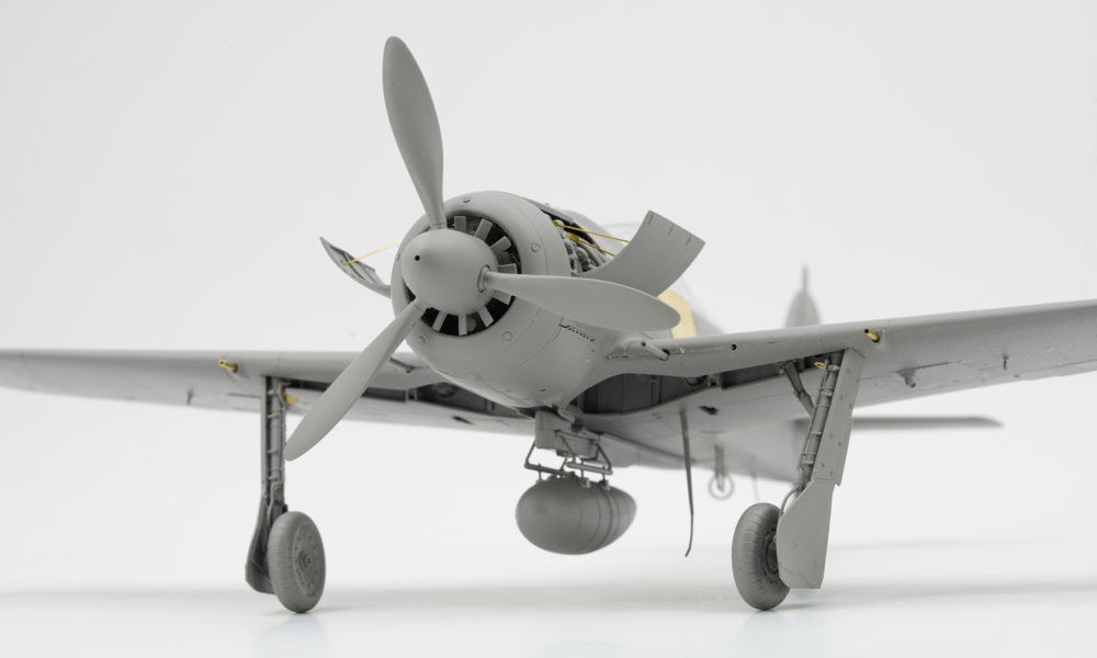 Border Models 1/35 Focke-Wulf Fw190 A-8 4in1 (R2/R6/R7/R8) kit front view